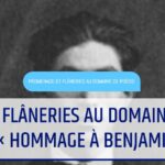 Promenade et flâneries au domaine de poésie du 8 mai 2026 : « Hommage à Benjamin Fondane »